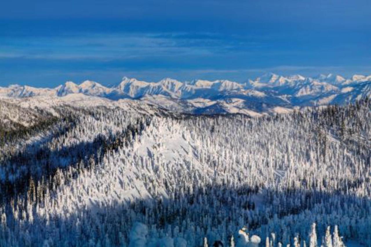 Wooded Dreams Apartman Whitefish Kültér fotó
